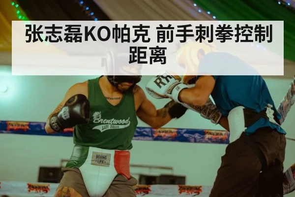Zhang Zhilei jab - jiuyou